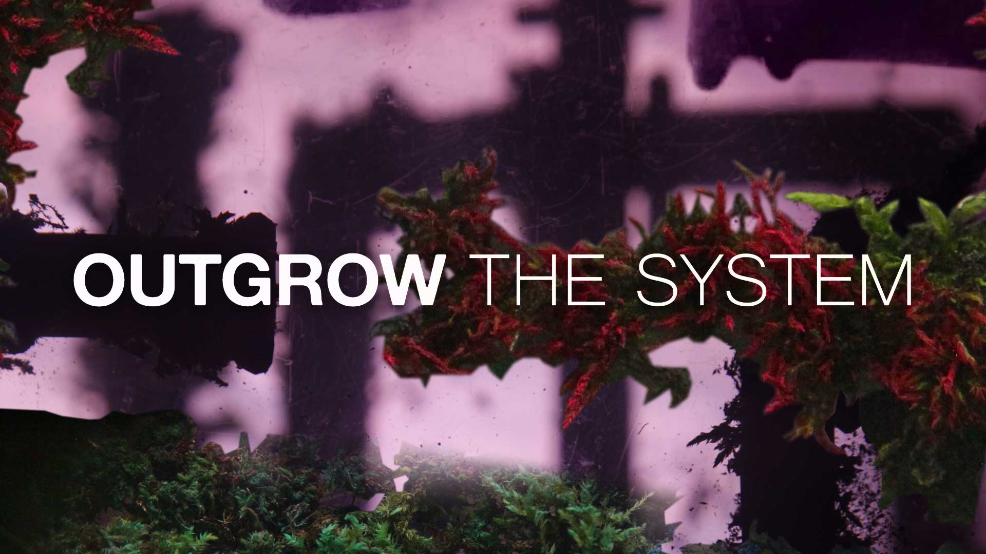 Outgrow the System - image
