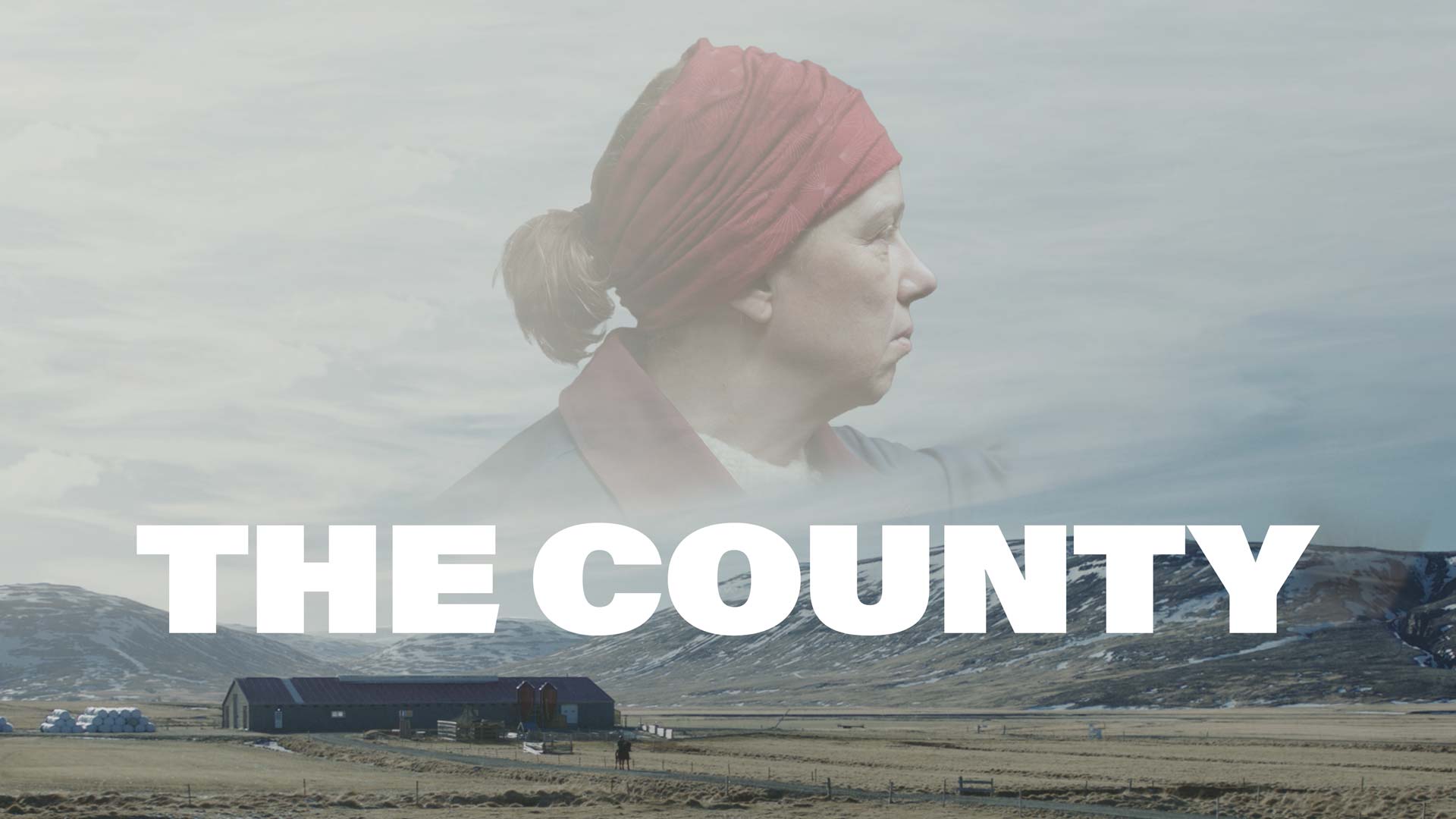 The County - image