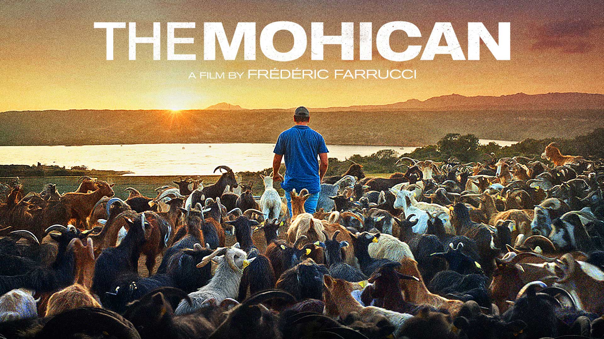 The Mohican - image
