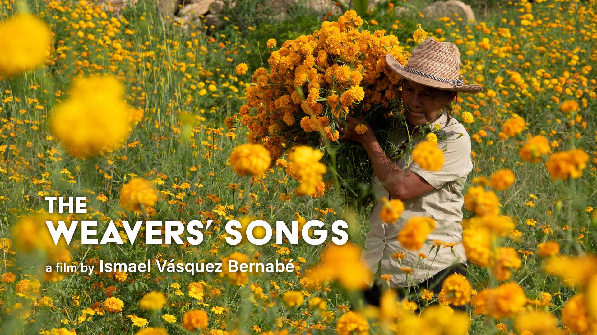 The Weavers' Songs - image