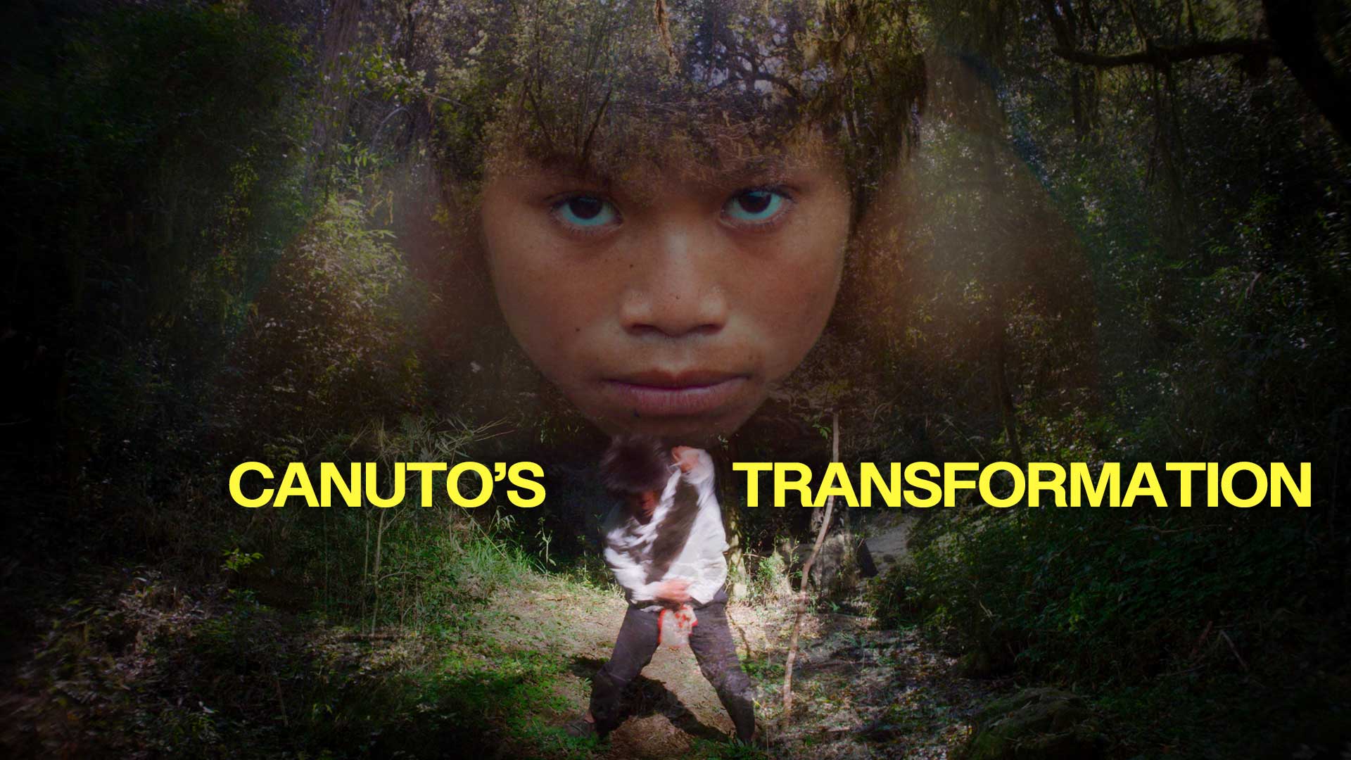 Canuto’s Transformation - image