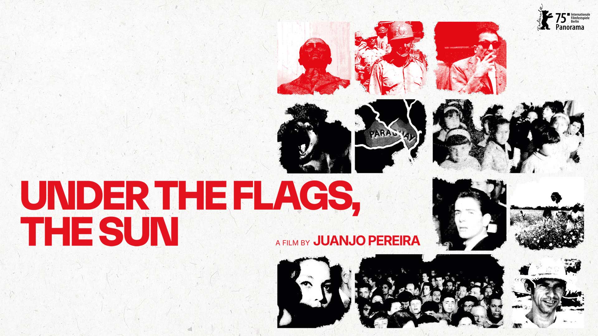 Under the Flags, the Sun - image