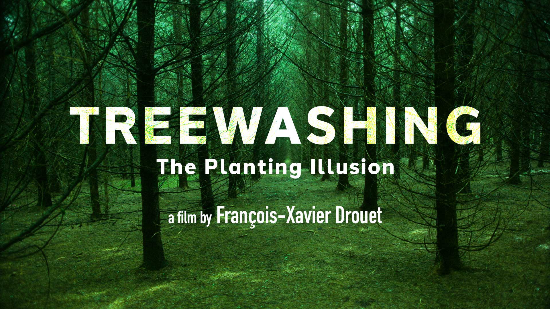 Treewashing: The Planting Illusion - image