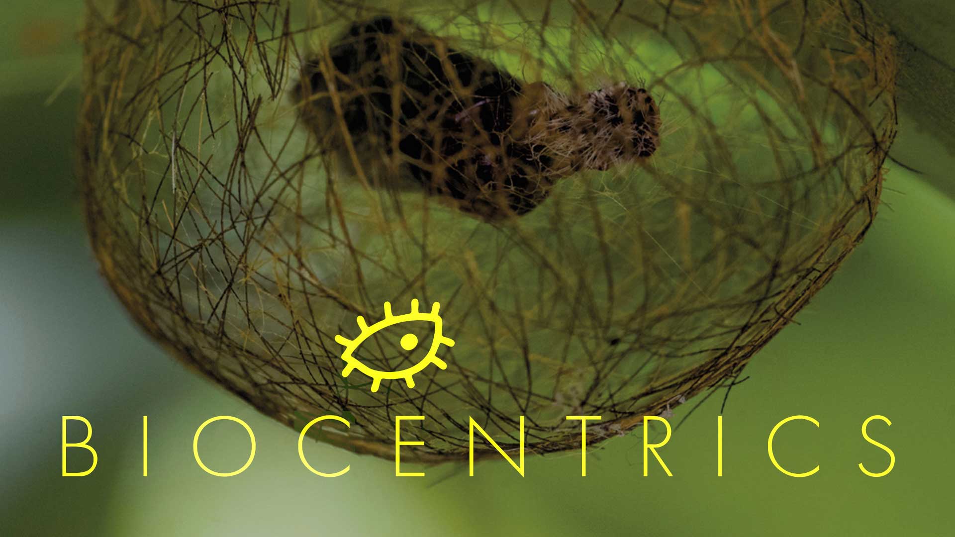 Biocentrics - image
