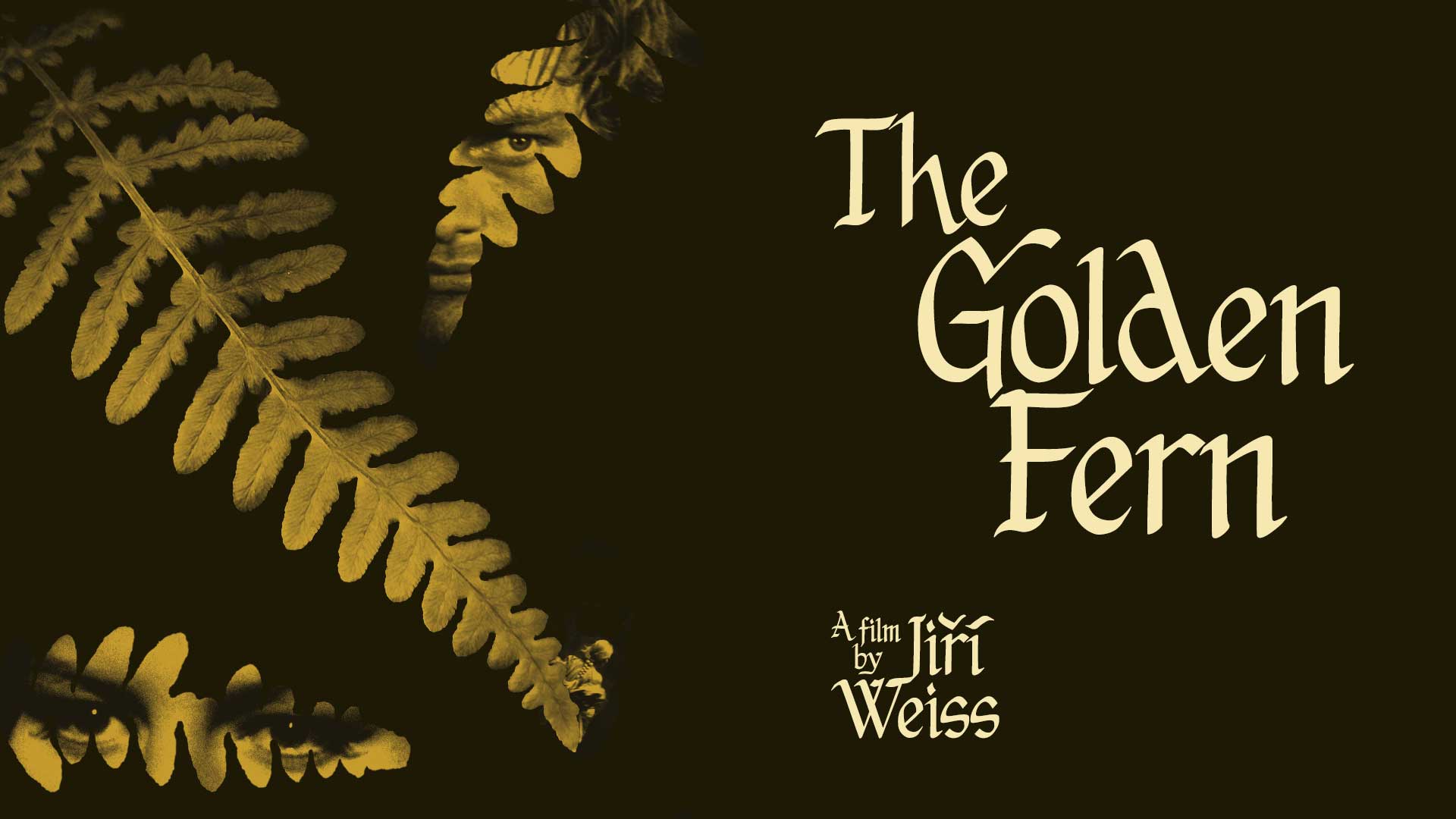 The Golden Fern - image