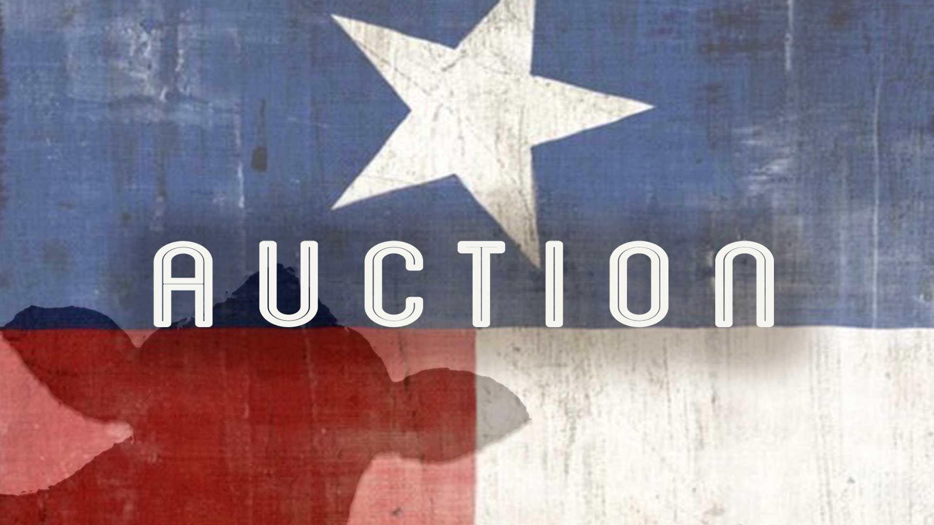 Auction - image