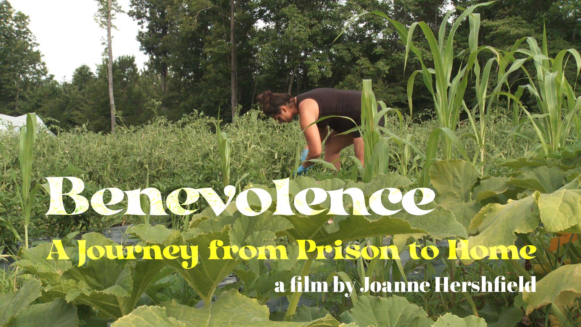 Benevolence, A Journey From Prison to Home - image