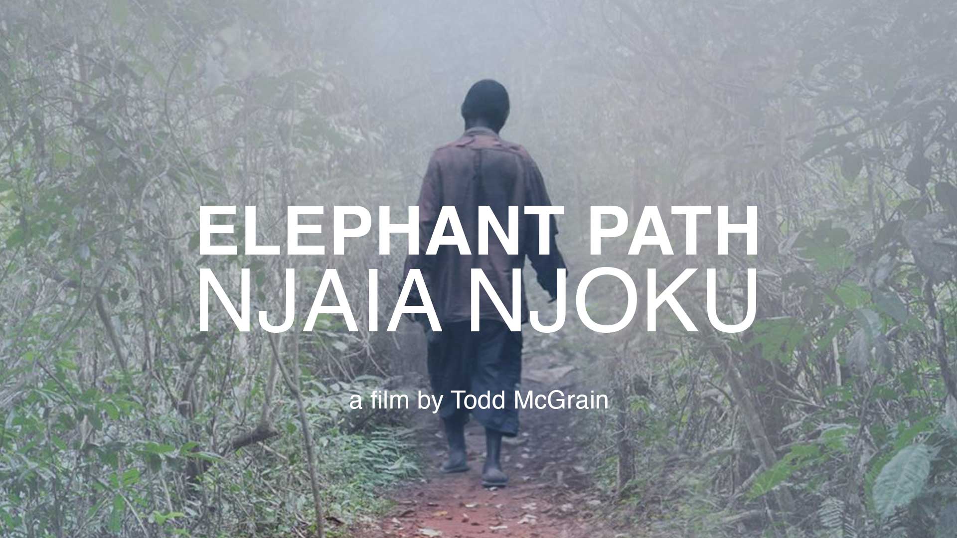 Elephant Path / Njaia Njoku - image
