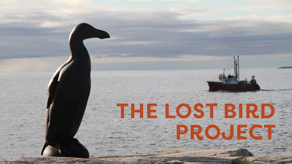 The Lost Bird Project - image