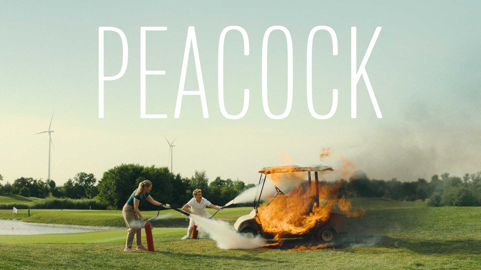 Peacock - image