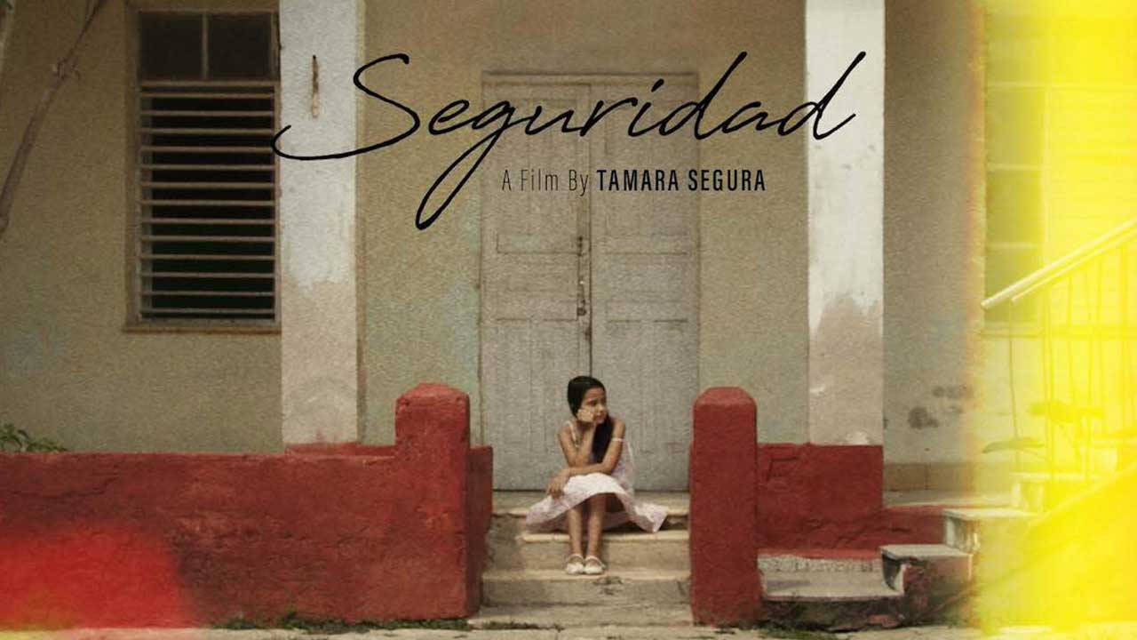 Seguridad - image