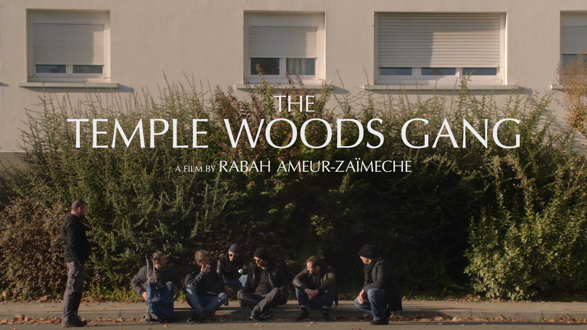 The Temple Woods Gang - image