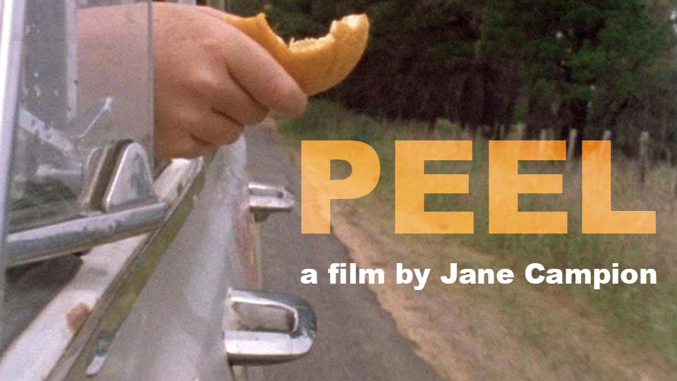 Jane Campion: Peel - image